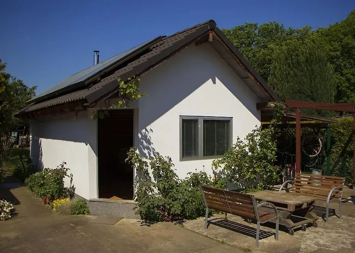 Saunahaus Mit Swimmingpool In Berlin